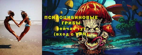 сатива Бердск