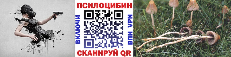 Галлюциногенные грибы Cubensis kraken онион Новая Ляля